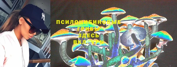 гашик Переславль-Залесский