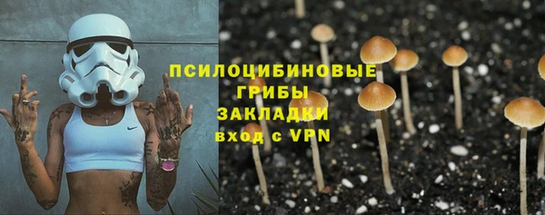 гашик Абаза