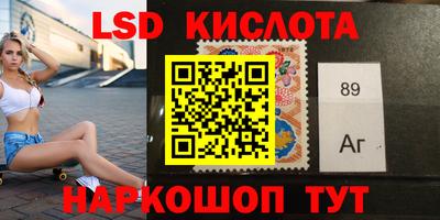 СК Донецк
