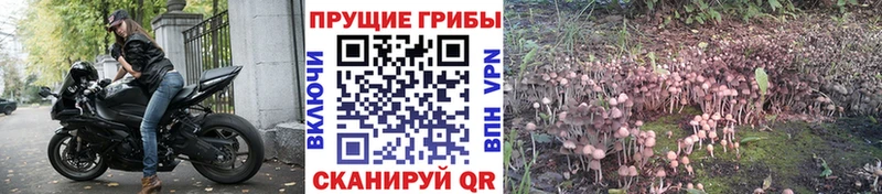Псилоцибиновые грибы Magic Shrooms  Ирбит 