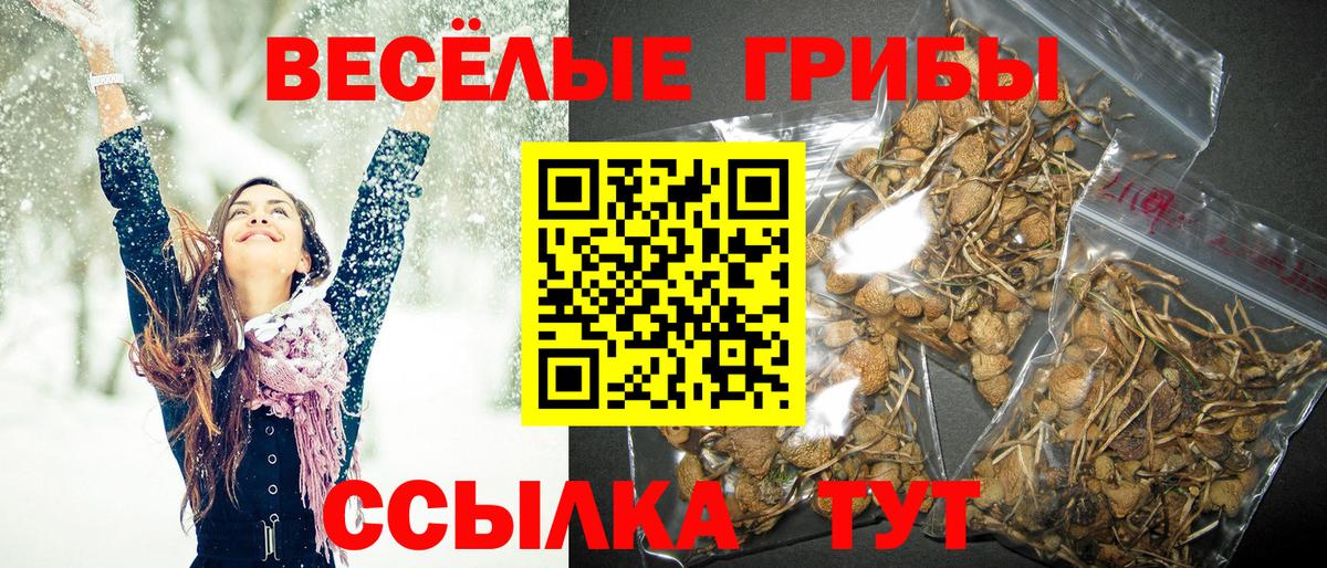 Ирбит  Псилоцибиновые грибы ЛСД  Вход с VPN 