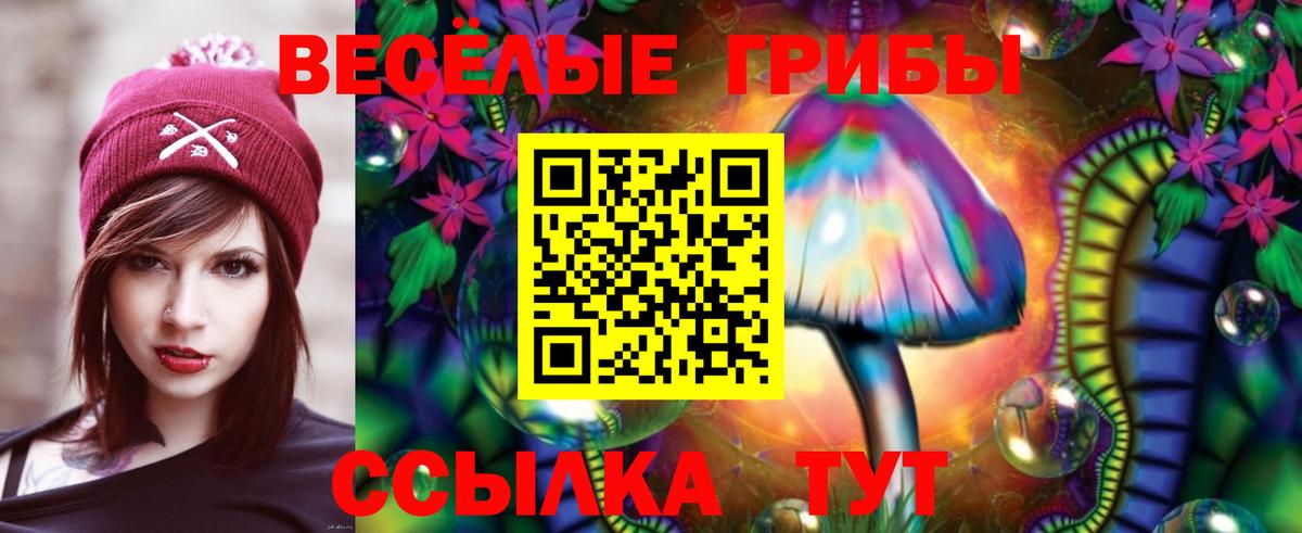 Псилоцибиновые грибы Psilocybe Ирбит